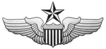 USAF Senior Pilot Wings Decal - HATNPATCH