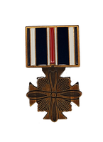 DIS FLY CRS DFC HAT PIN - HATNPATCH
