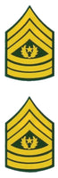 US Army E-9 Command SGT Major Rank 2-Piece 1 inch Decals - HATNPATCH