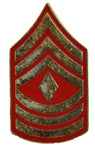 E-8 1ST SERGEANT HAT PIN - HATNPATCH