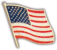 US FLAG HAT PIN - HATNPATCH