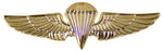 MARINE JUMP WINGS HAT PIN (Gold) - HATNPATCH