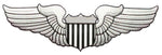 USAF Pilot Wings Decal - HATNPATCH