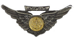 NAVAL COMABT AIR CREW HAT PIN - HATNPATCH