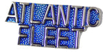 ATLANTIC FLEET HAT PIN - HATNPATCH