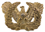 USA WARRANT OFFICER HAT PIN - HATNPATCH