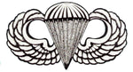 Para Wing Basic Decal - HATNPATCH