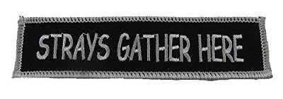 STRAYS GATHER HERE PATCH FUNNY HUMOR BIKER MOTORCYCLE VEST CUT JACKET OUTLAW - HATNPATCH