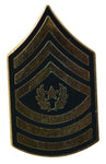 USA COMMAND SERGEANT MAJOR E-9 HAT PIN - HATNPATCH