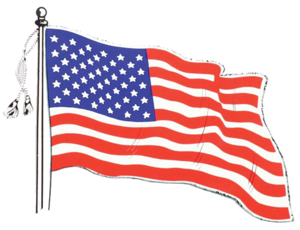 USA WAVY FLAG DECAL - HATNPATCH