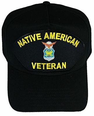 USAF AIR FORCE NATIVE AMERICAN VETERAN HAT INDIAN INDIGENOUS MILITARY SERVICE - HATNPATCH