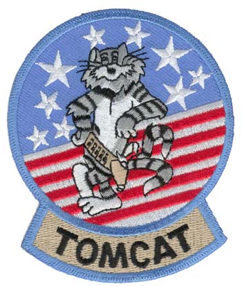 F-14 TOMCAT PATCH - HATNPATCH