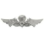 Airborne Bush Jump Wing Pin - HATNPATCH
