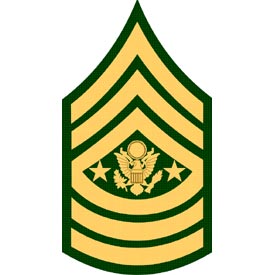 Army E9 Sergeant Major Of The Army Dress Green Pair Patch - HATNPATCH