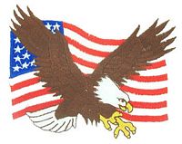 FLAG AND EAGLE PATCH - HATNPATCH