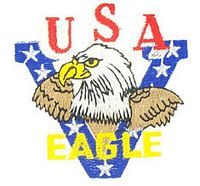 USA EAGLE PATCH - HATNPATCH