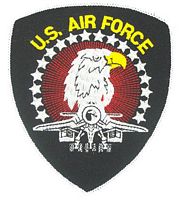 US AIR FORCE EAGLE PATCH - HATNPATCH