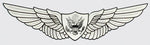U.S. Army Aircrew Wings Decal - HATNPATCH