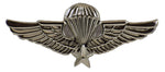 Vietnam Jump Wings Large Lapel Pin - (2 1/4 inch) - HATNPATCH