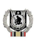 Wounded Warrior Iraq Pin - HATNPATCH