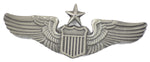 SENIOR PILOT HAT PIN - HATNPATCH