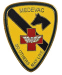 1ST CAV MEDEVAC HAT PIN - HATNPATCH